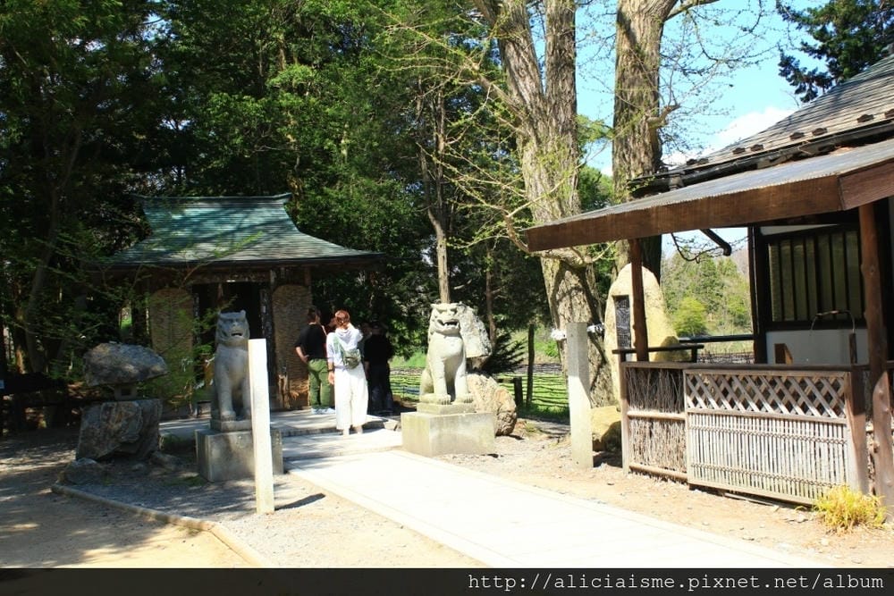 【長野縣|安曇野】大王山葵農場~來到黑澤明的夢裡 【長野縣|安曇野】大王山葵農場~來到黑澤明的夢裡