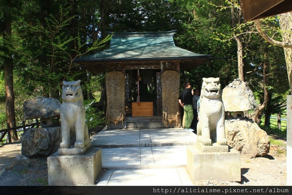 【長野縣|安曇野】大王山葵農場~來到黑澤明的夢裡 【長野縣|安曇野】大王山葵農場~來到黑澤明的夢裡