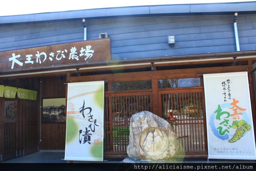 【長野縣|安曇野】大王山葵農場~來到黑澤明的夢裡 【長野縣|安曇野】大王山葵農場~來到黑澤明的夢裡