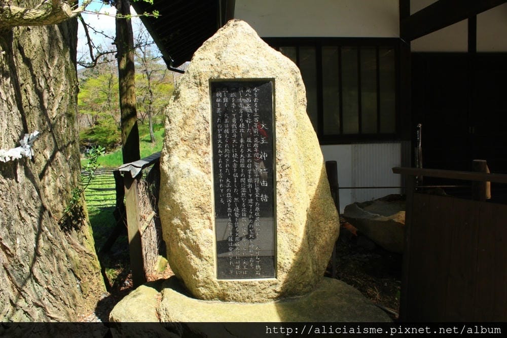 【長野縣|安曇野】大王山葵農場~來到黑澤明的夢裡 【長野縣|安曇野】大王山葵農場~來到黑澤明的夢裡