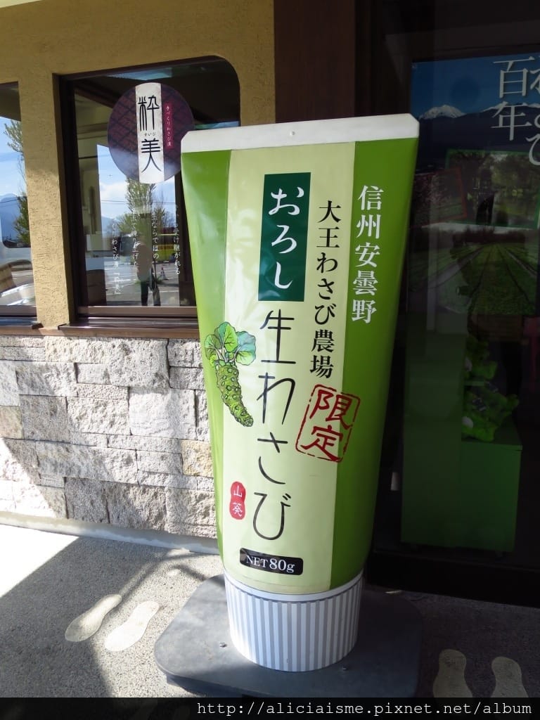 【長野縣|安曇野】大王山葵農場~來到黑澤明的夢裡 【長野縣|安曇野】大王山葵農場~來到黑澤明的夢裡