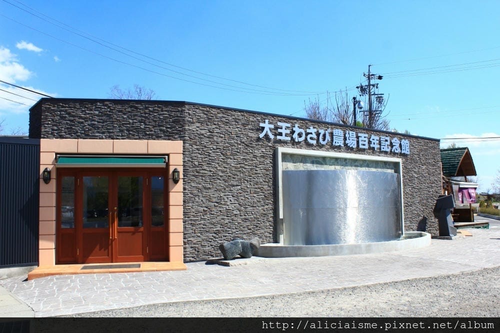 【長野縣|安曇野】大王山葵農場~來到黑澤明的夢裡 【長野縣|安曇野】大王山葵農場~來到黑澤明的夢裡