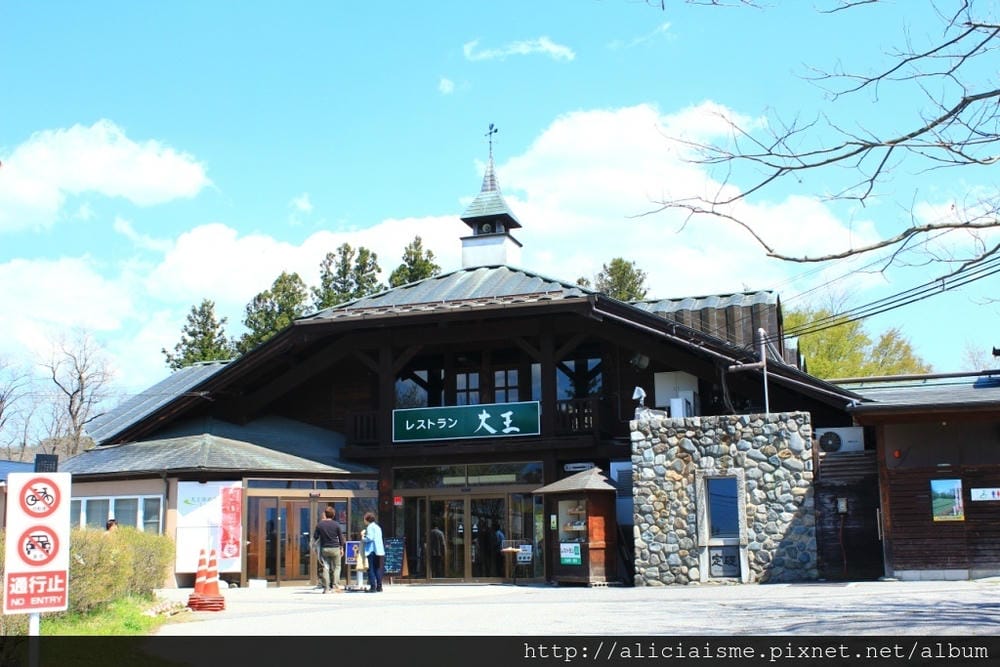 【長野縣|安曇野】大王山葵農場~來到黑澤明的夢裡 【長野縣|安曇野】大王山葵農場~來到黑澤明的夢裡
