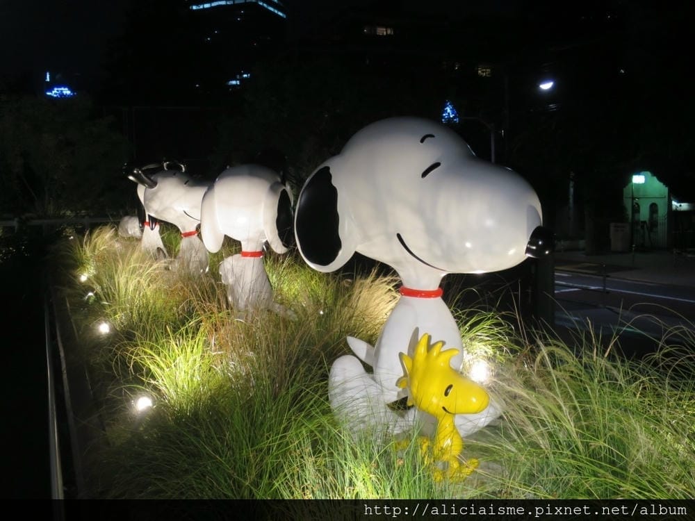 IMG_7850.JPG IMG_7850.JPG