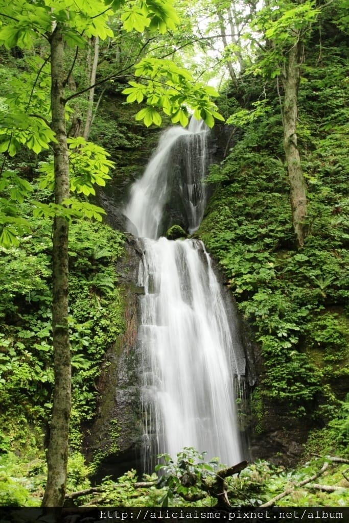 IMG_8154.JPG
