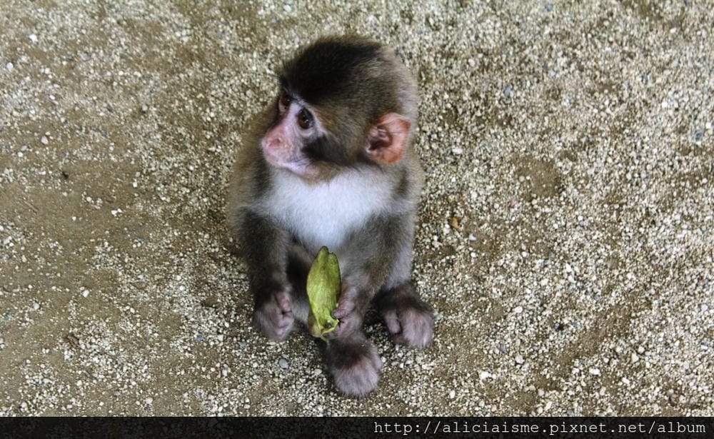 IMG_3571.JPG