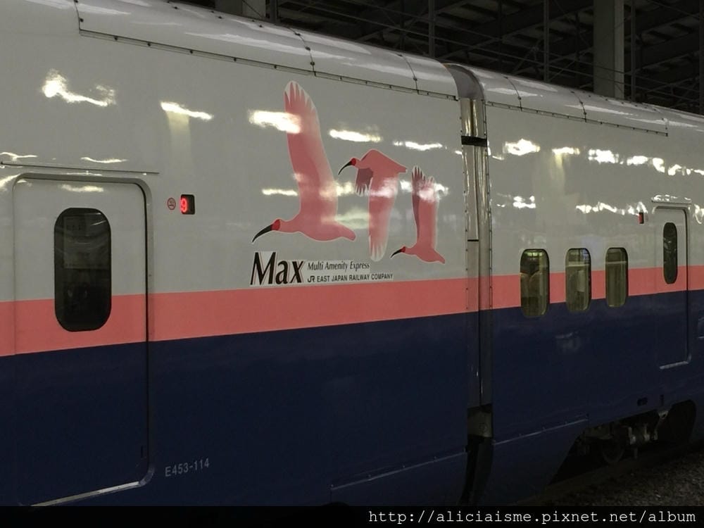 IMG_9246