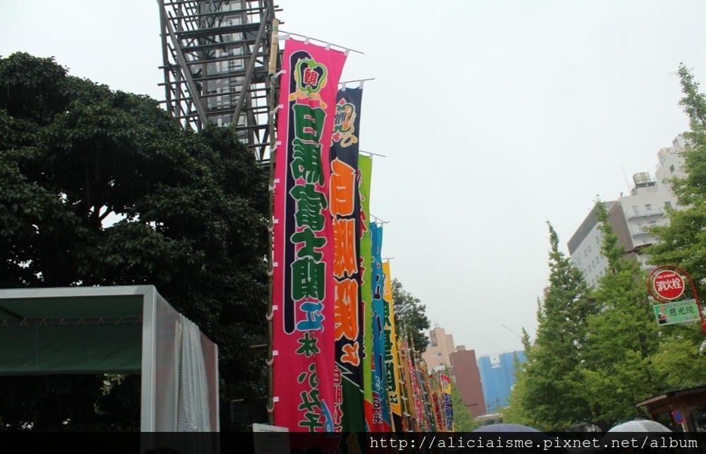IMG_5941.JPG IMG_5941.JPG