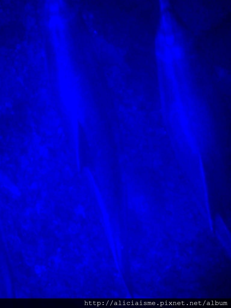 P9160023