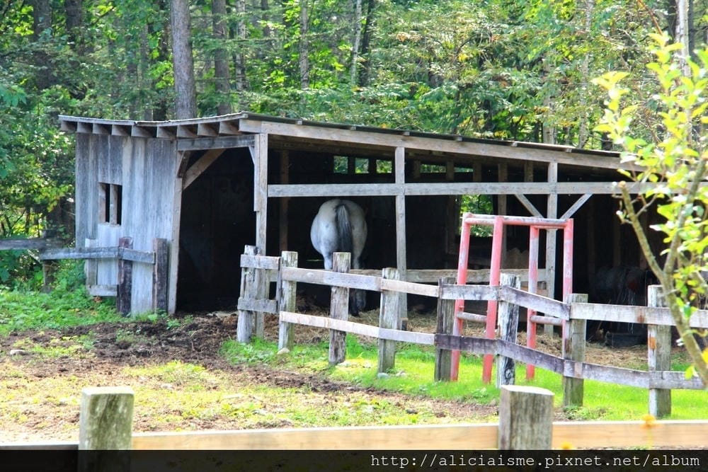 IMG_2917.JPG IMG_2917.JPG