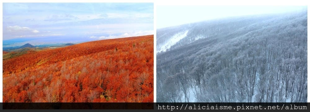 makephotogallery.net_1484882275.jpg