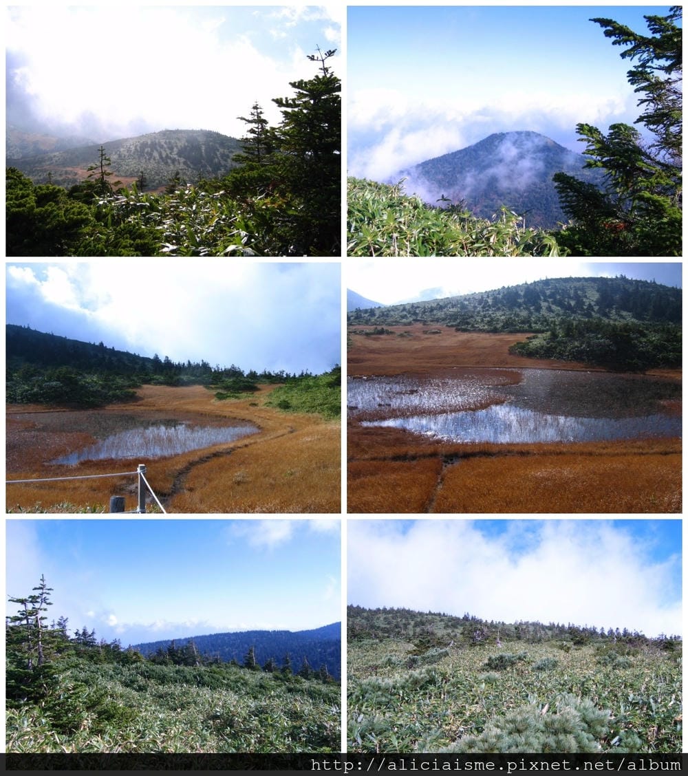 makephotogallery.net_1484881644.jpg