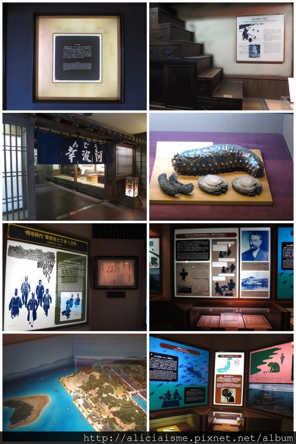 makephotogallery.net_1488723679.jpg
