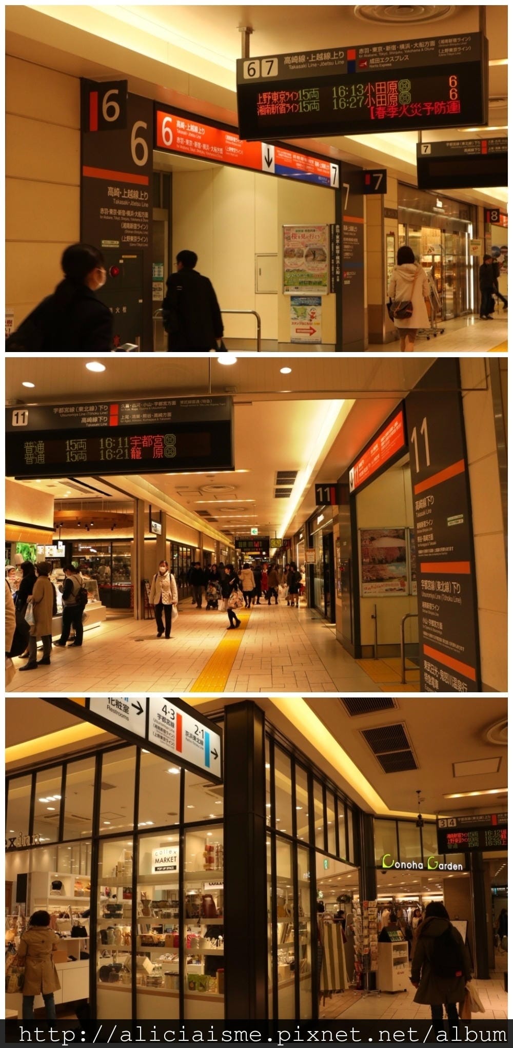 makephotogallery.net_1489899546.jpg