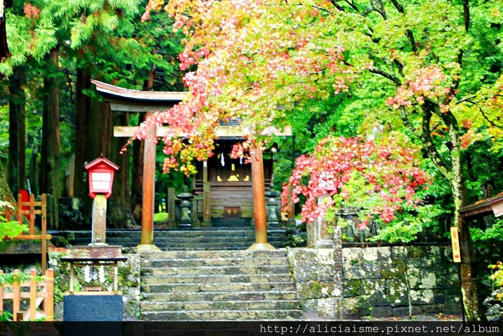 【山梨縣】北口本宮富士淺間神社~富士山吉田火祭&心靈能量地