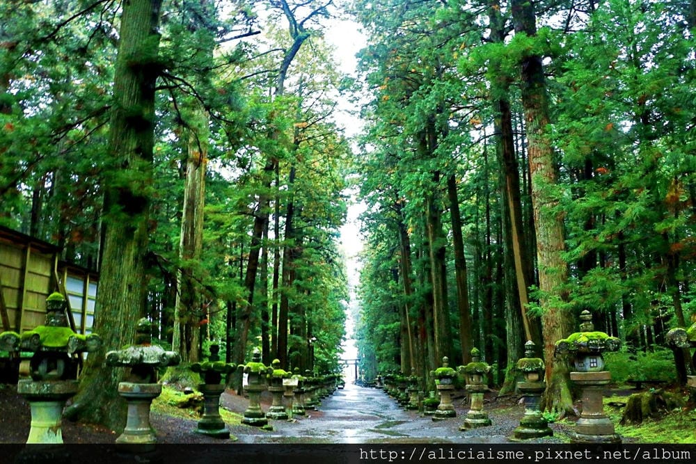 【山梨縣】北口本宮富士淺間神社~富士山吉田火祭&心靈能量地