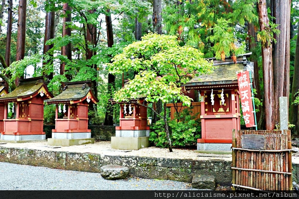 【山梨縣】北口本宮富士淺間神社~富士山吉田火祭&心靈能量地