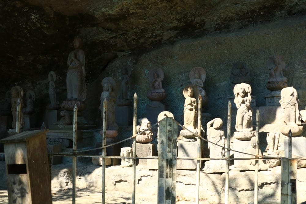 IMG_3255.JPG IMG_3255.JPG