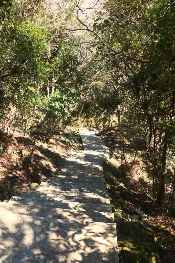 IMG_3250.JPG IMG_3250.JPG