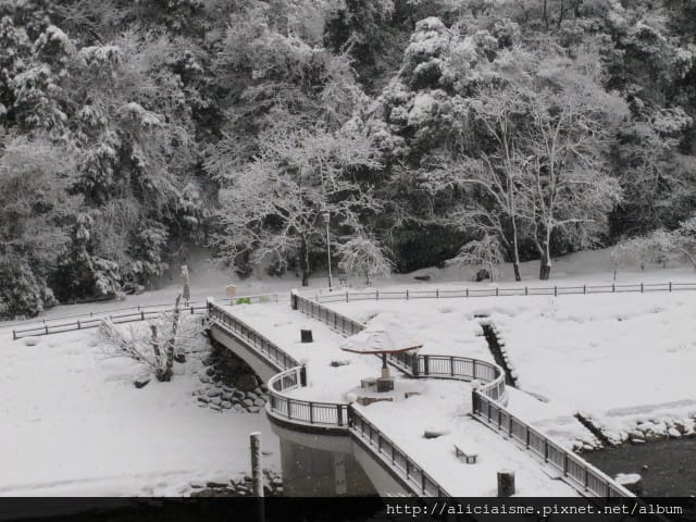 【鳥取縣】三朝館~冬日雪景夢幻王國、夏日觀瀑聞花香,女性限定 【鳥取縣】三朝館~冬日雪景夢幻王國、夏日觀瀑聞花香,女性限定