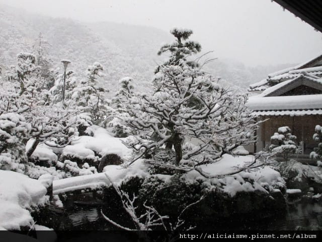 【鳥取縣】三朝館~冬日雪景夢幻王國、夏日觀瀑聞花香,女性限定 【鳥取縣】三朝館~冬日雪景夢幻王國、夏日觀瀑聞花香,女性限定