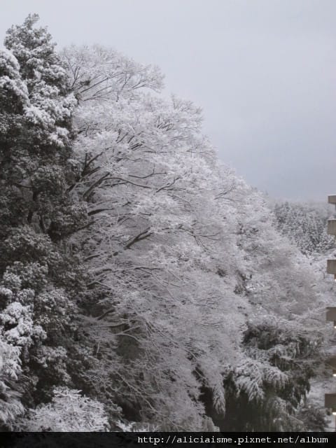 【鳥取縣】三朝館~冬日雪景夢幻王國、夏日觀瀑聞花香,女性限定 【鳥取縣】三朝館~冬日雪景夢幻王國、夏日觀瀑聞花香,女性限定