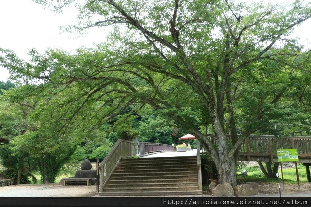 【鳥取縣】三朝館~冬日雪景夢幻王國、夏日觀瀑聞花香,女性限定 【鳥取縣】三朝館~冬日雪景夢幻王國、夏日觀瀑聞花香,女性限定