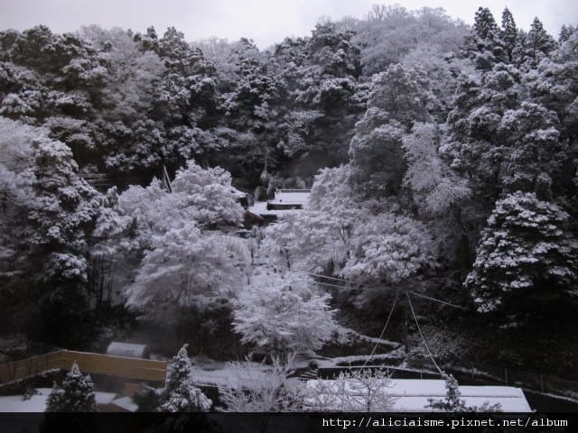 【鳥取縣】三朝館~冬日雪景夢幻王國、夏日觀瀑聞花香,女性限定 【鳥取縣】三朝館~冬日雪景夢幻王國、夏日觀瀑聞花香,女性限定