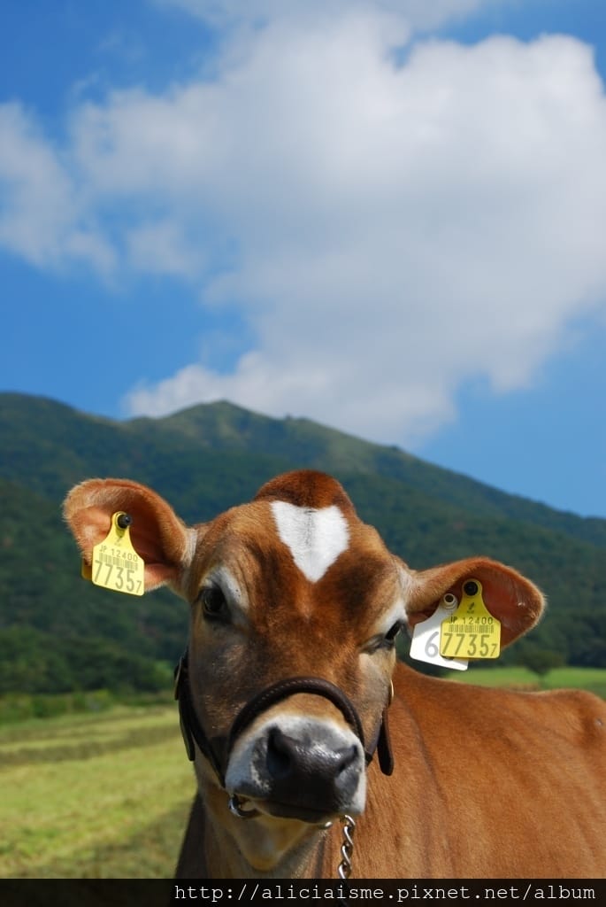 蒜山:ラブリーちゃん.JPG 蒜山:ラブリーちゃん.JPG