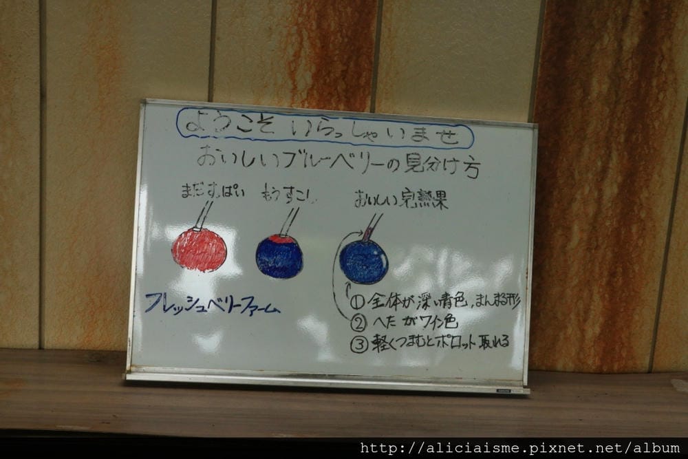 IMG_8035.JPG IMG_8035.JPG