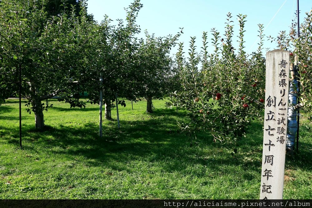 batch_IMG_2172.JPG