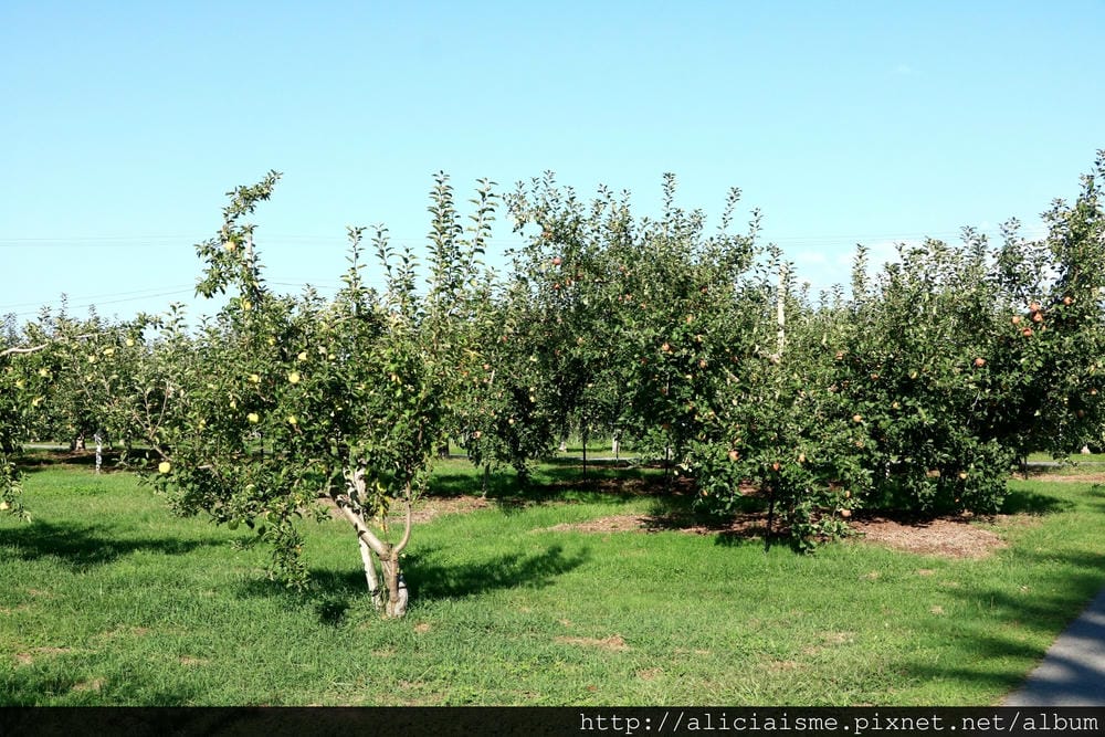 batch_IMG_2170.JPG