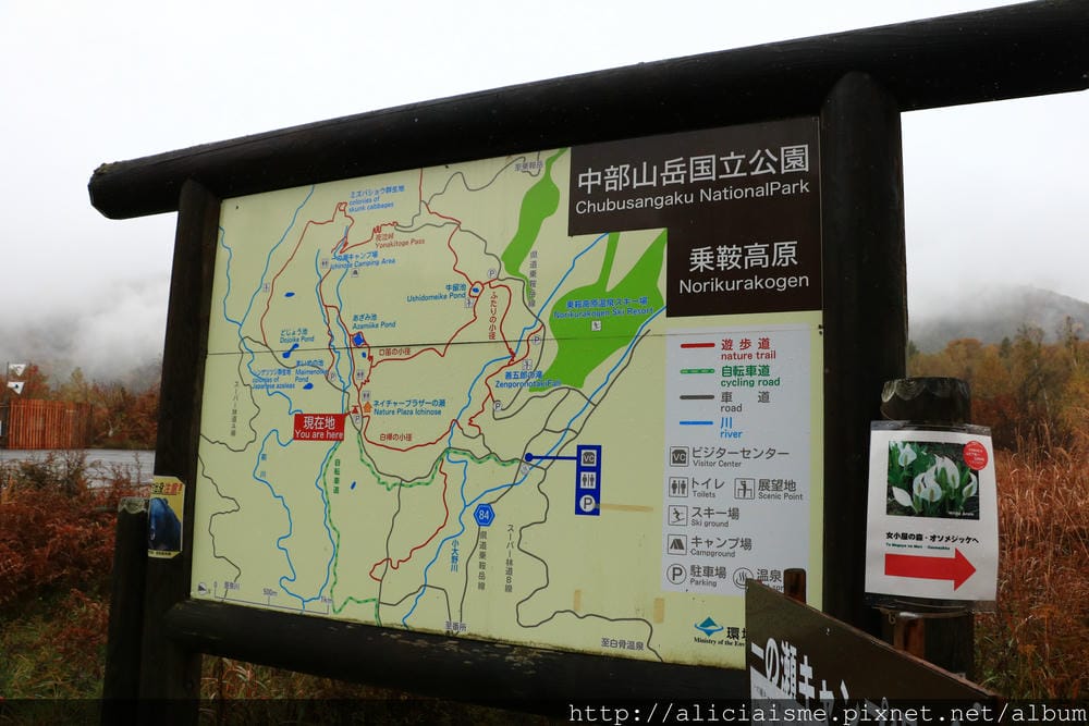 【長野縣】乘鞍高原、MAPLE餐廳:雲霧裡的紅葉夢幻地、健行露營區