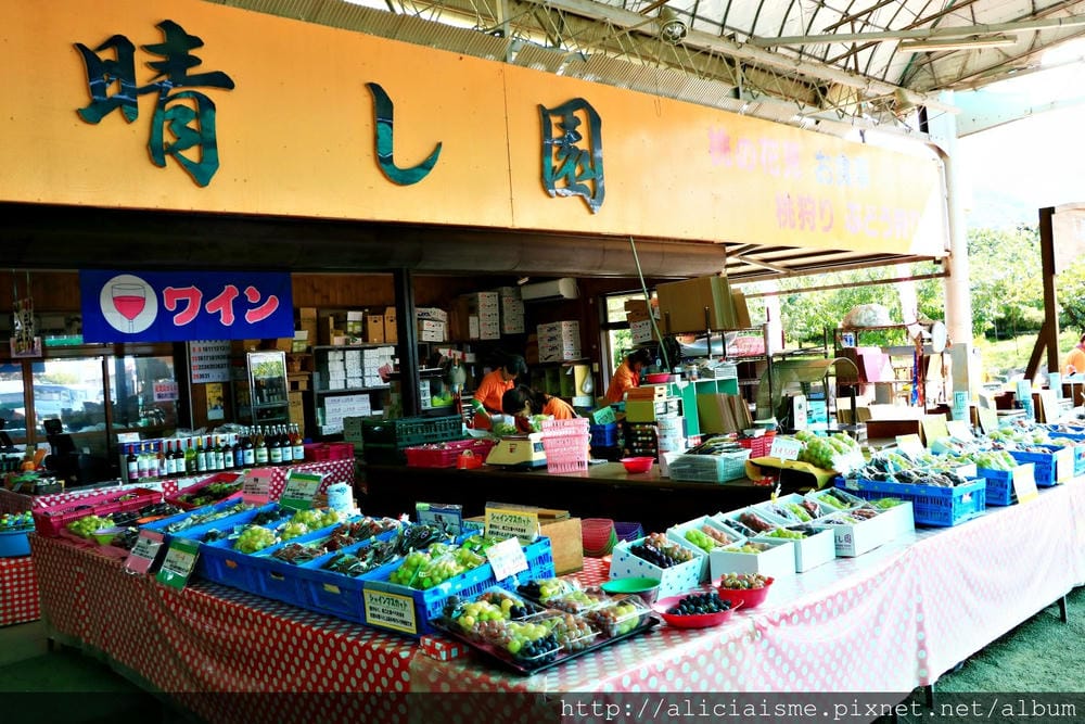 【山梨縣】笛吹見晴園、〈MARUSA MARCHE〉咖啡館:粉色地毯上現摘葡萄、喝自家釀造葡萄酒、葡萄樹木工盤體驗