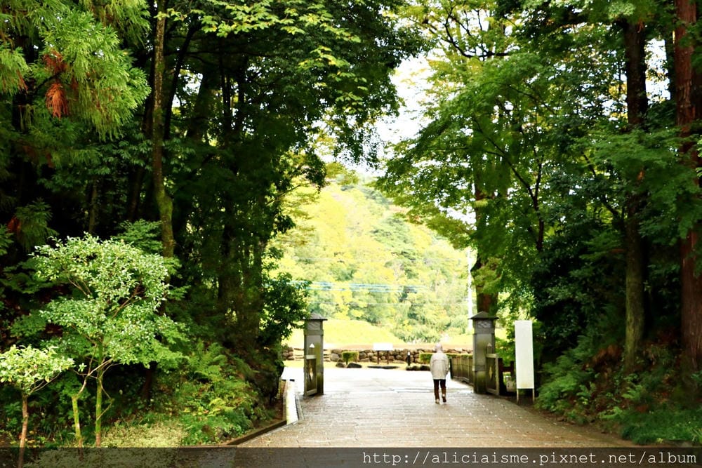 【山梨縣】甲府市:武田神社、甲州夢小路~來找信玄公的小江戶