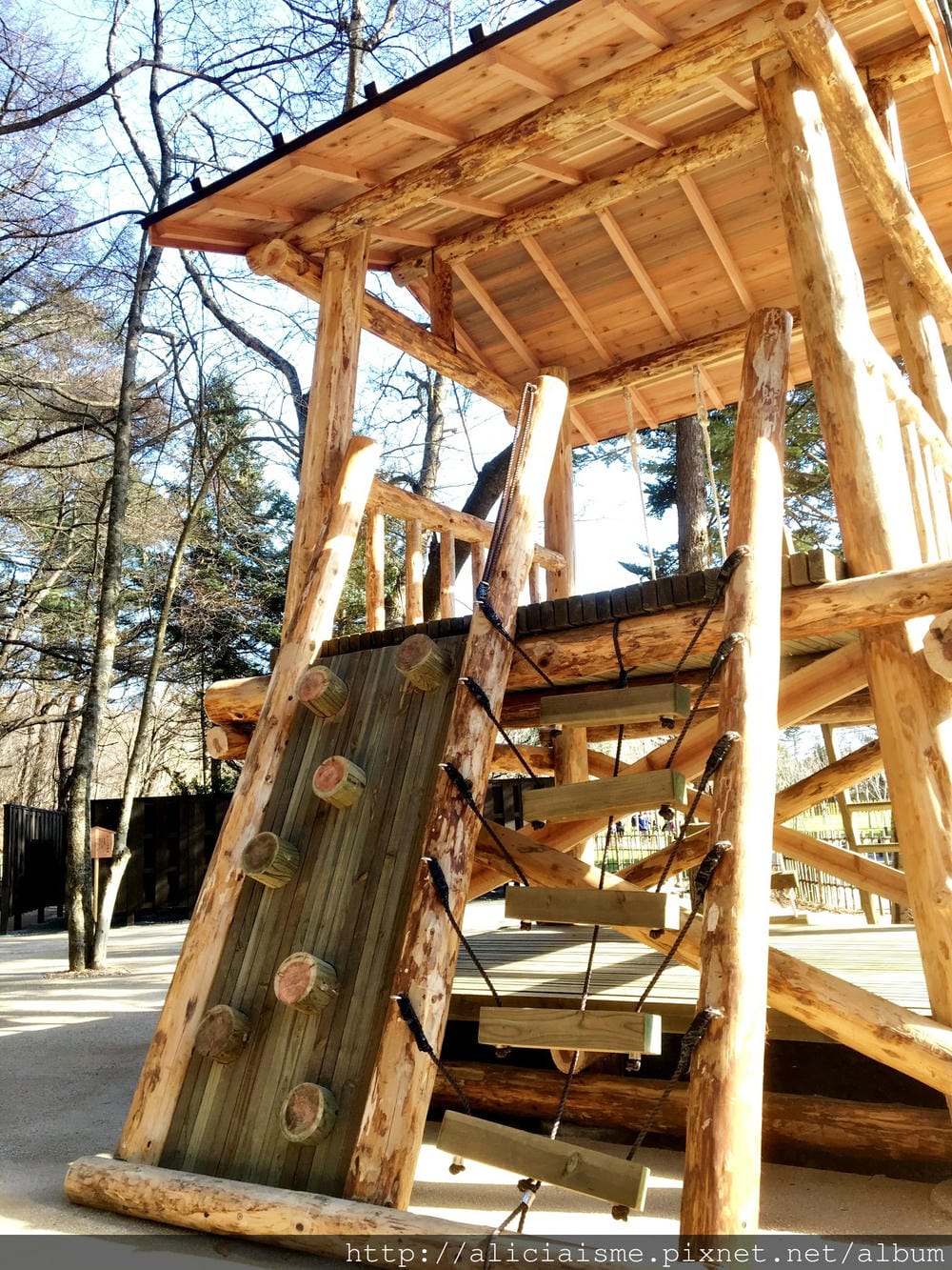 【山梨縣】〈忍野 忍者主題村〉:富士山下當個忍者,體驗忍術、吃頓美味忍者餐!