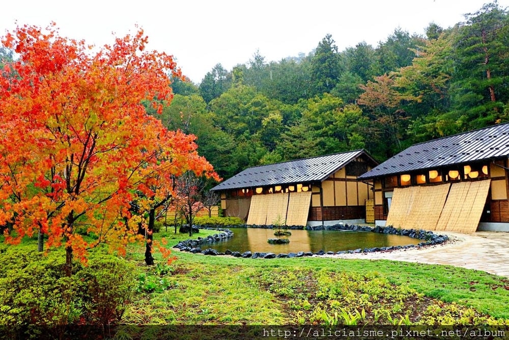 【山梨縣】〈忍野 忍者主題村〉:富士山下當個忍者,體驗忍術、吃頓美味忍者餐!
