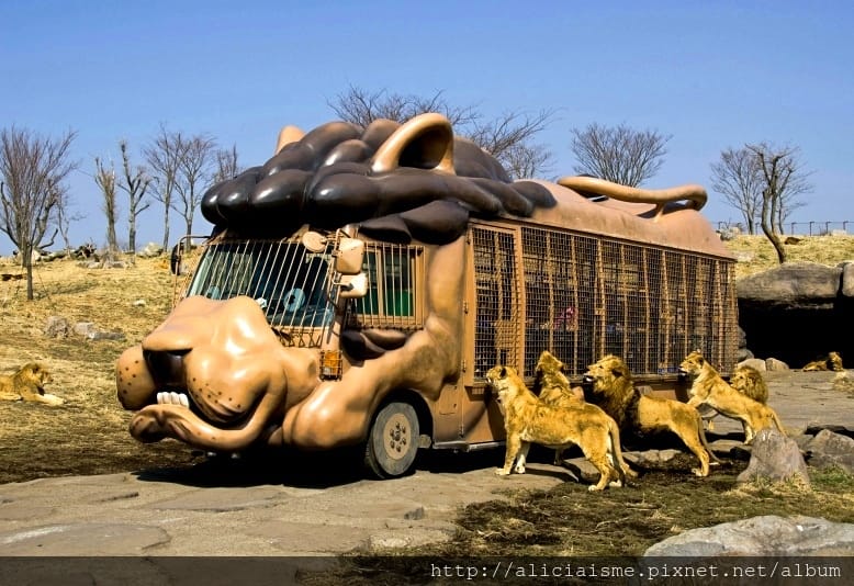 【大分縣】九州自然動物園：體驗African safari野生動物餵食樂趣