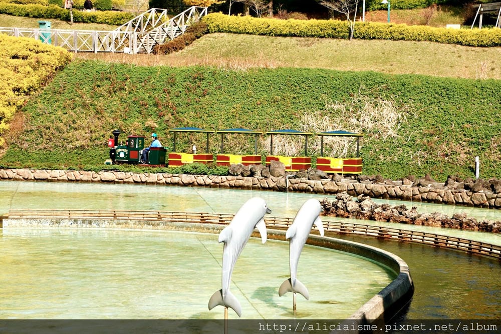 【大分縣】城島高原樂園：5星風景裡古老木造雲霄飛車＠別府市