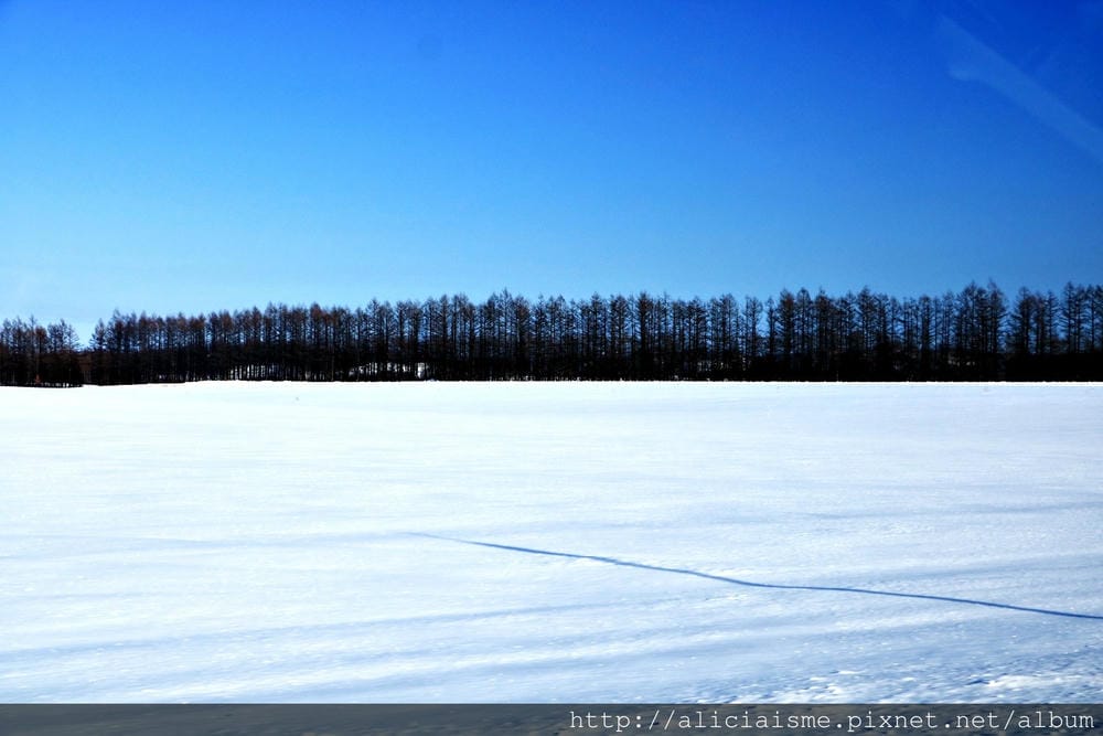 【北海道】日本的聖誕村:365天天聖誕日,還有年度限定的夢幻聖誕信件from永田萌
