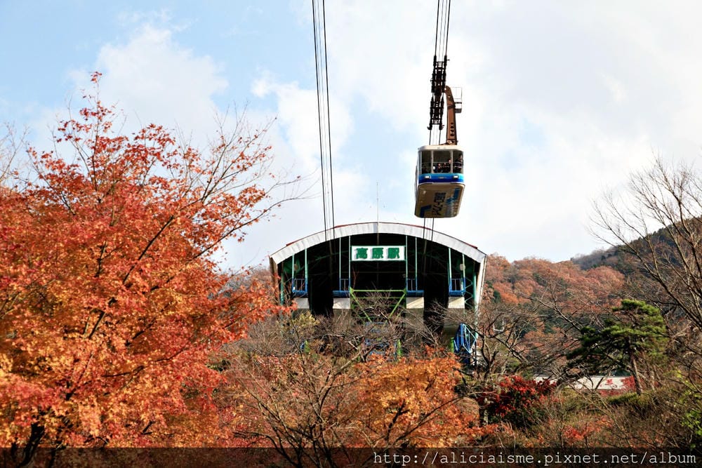 【大分縣】別府空中纜車：來趟四季花海鶴見山＋擁抱別府灣的浪漫空中散策