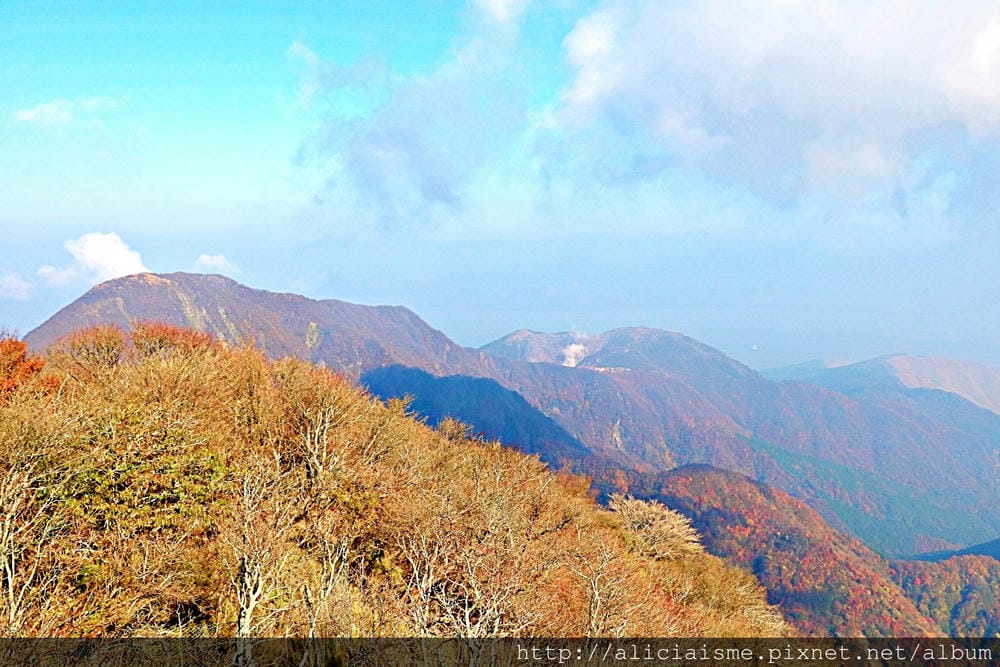 【大分縣】別府空中纜車：來趟四季花海鶴見山＋擁抱別府灣的浪漫空中散策