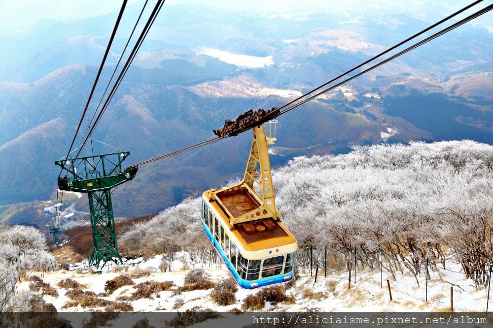 【大分縣】別府空中纜車：來趟四季花海鶴見山＋擁抱別府灣的浪漫空中散策