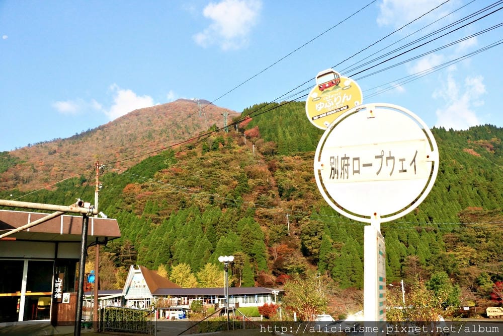 【大分縣】別府空中纜車：來趟四季花海鶴見山＋擁抱別府灣的浪漫空中散策