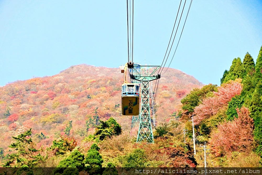 【大分縣】別府空中纜車：來趟四季花海鶴見山＋擁抱別府灣的浪漫空中散策