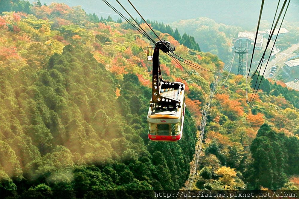 【大分縣】別府空中纜車：來趟四季花海鶴見山＋擁抱別府灣的浪漫空中散策