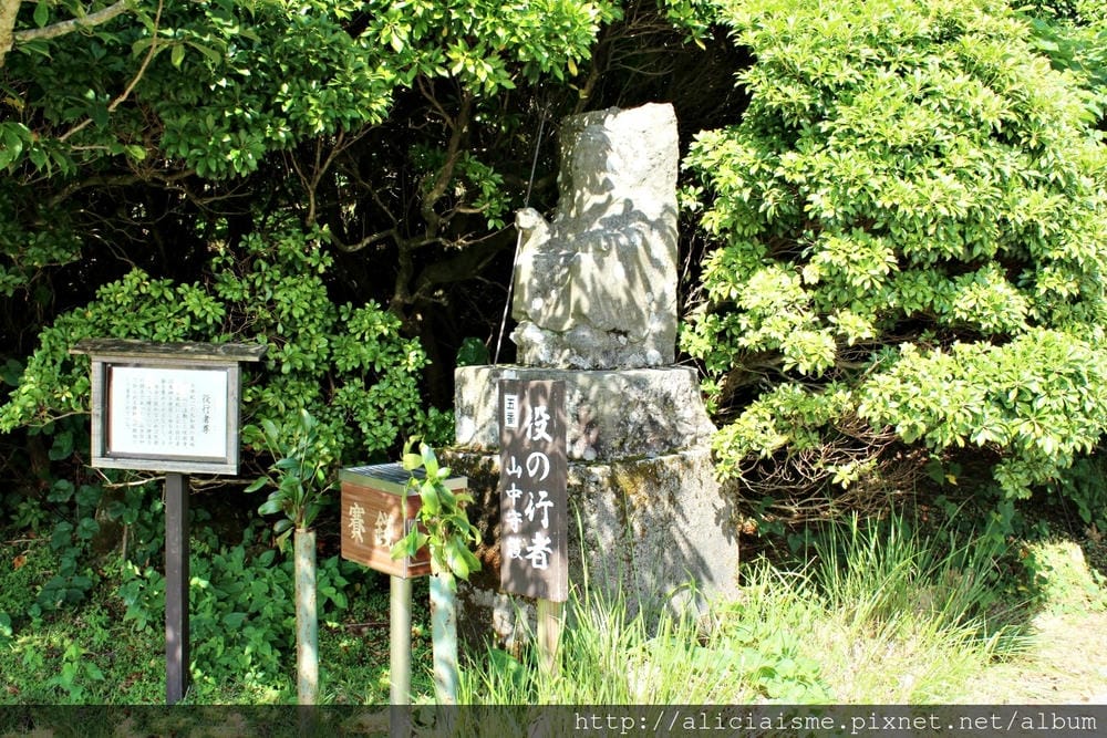 【大分縣】別府空中纜車：來趟四季花海鶴見山＋擁抱別府灣的浪漫空中散策