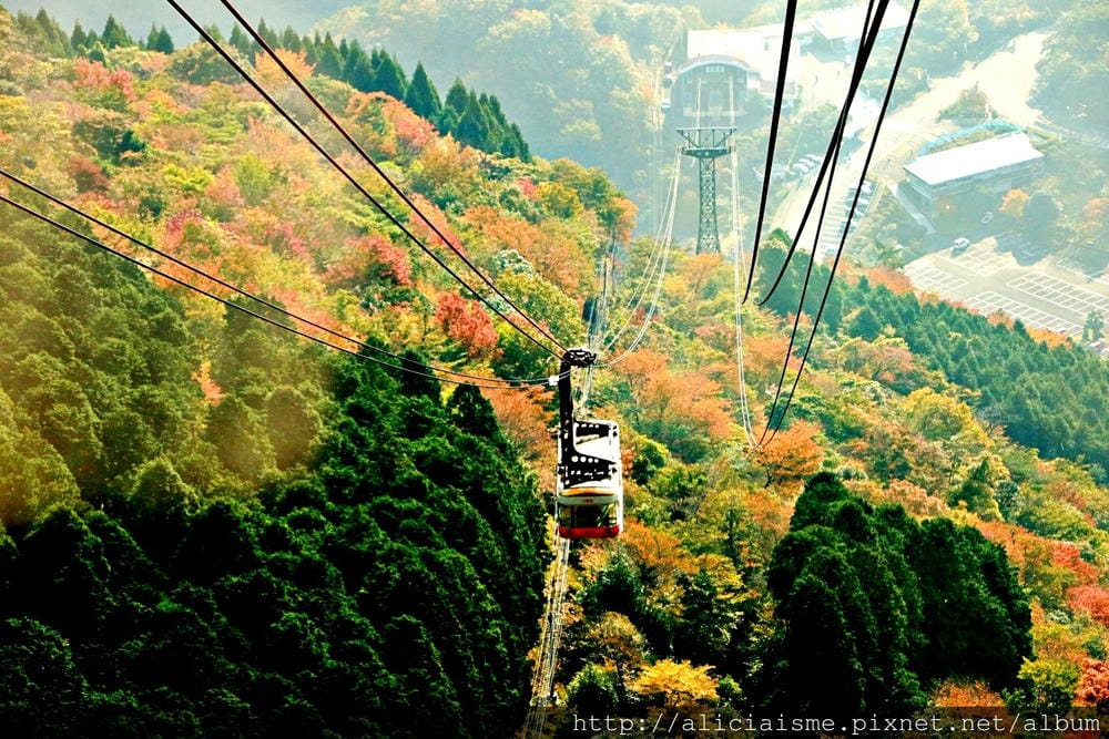【大分縣】別府空中纜車：來趟四季花海鶴見山＋擁抱別府灣的浪漫空中散策