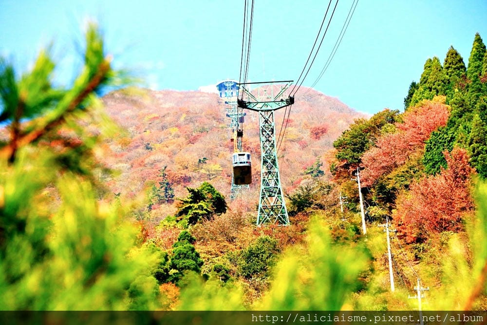 【大分縣】別府空中纜車：來趟四季花海鶴見山＋擁抱別府灣的浪漫空中散策