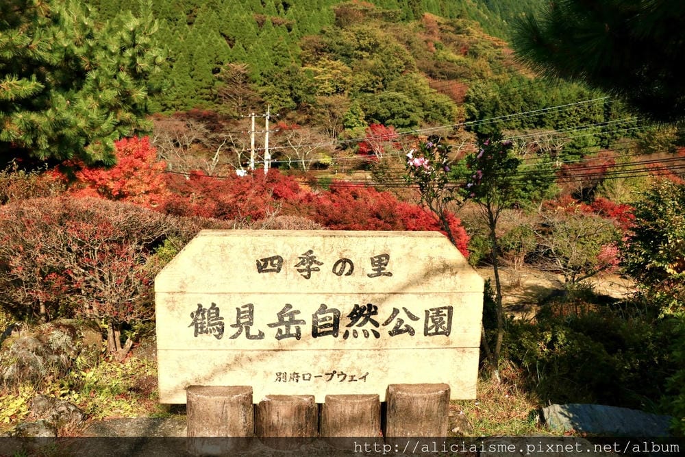 【大分縣】別府空中纜車：來趟四季花海鶴見山＋擁抱別府灣的浪漫空中散策